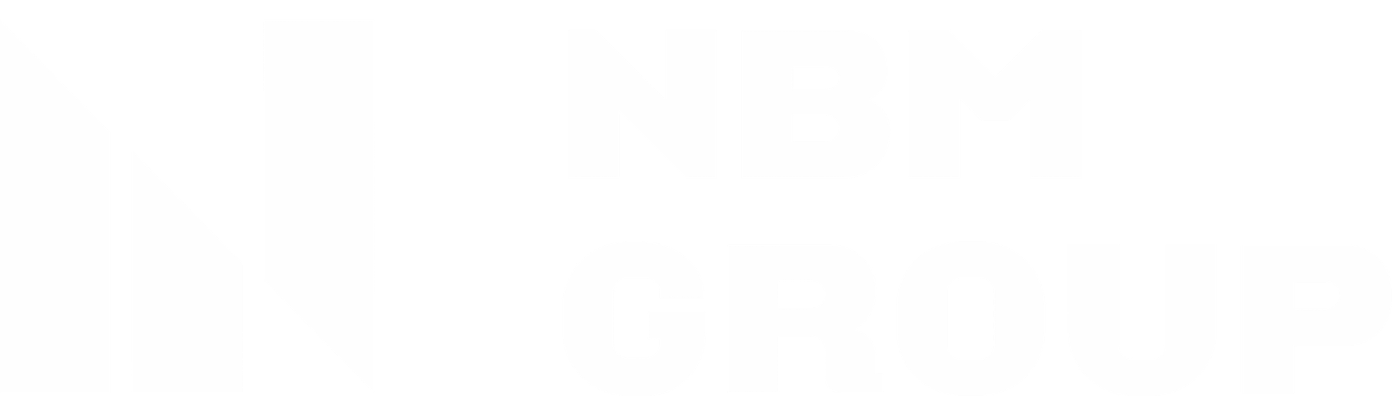 Logo NBM Group